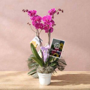 Arreglo Fúnebre con Orquídeas – Homenaje Delicado